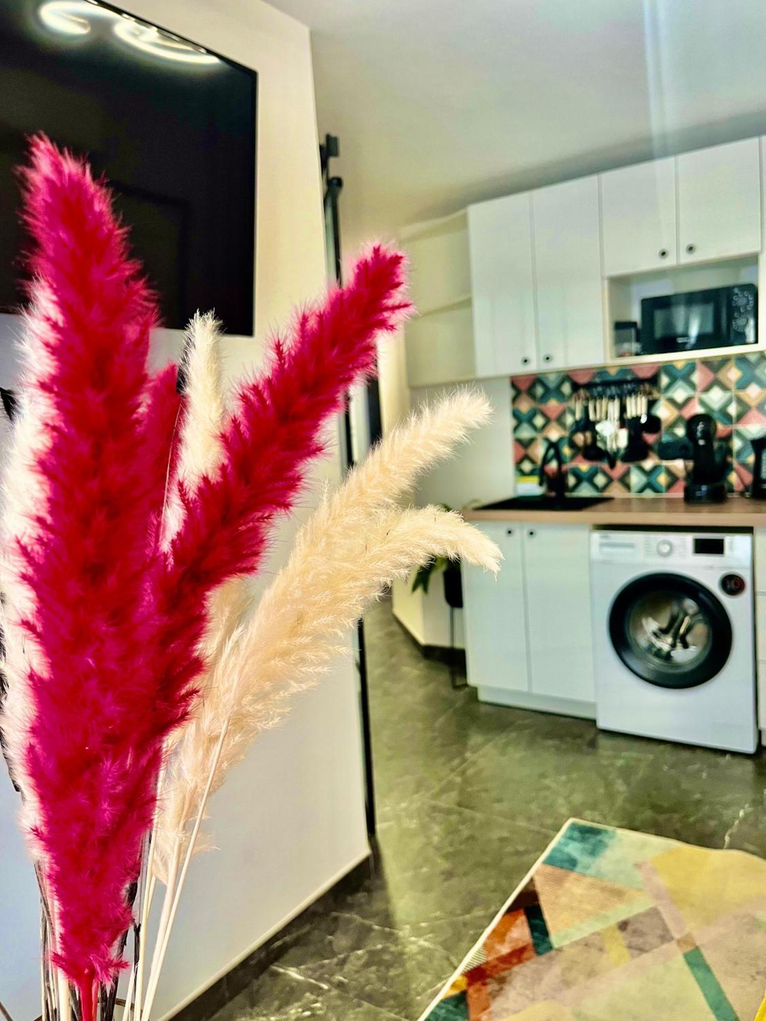Arte Apartamento Dos Colores Alicante Exterior foto